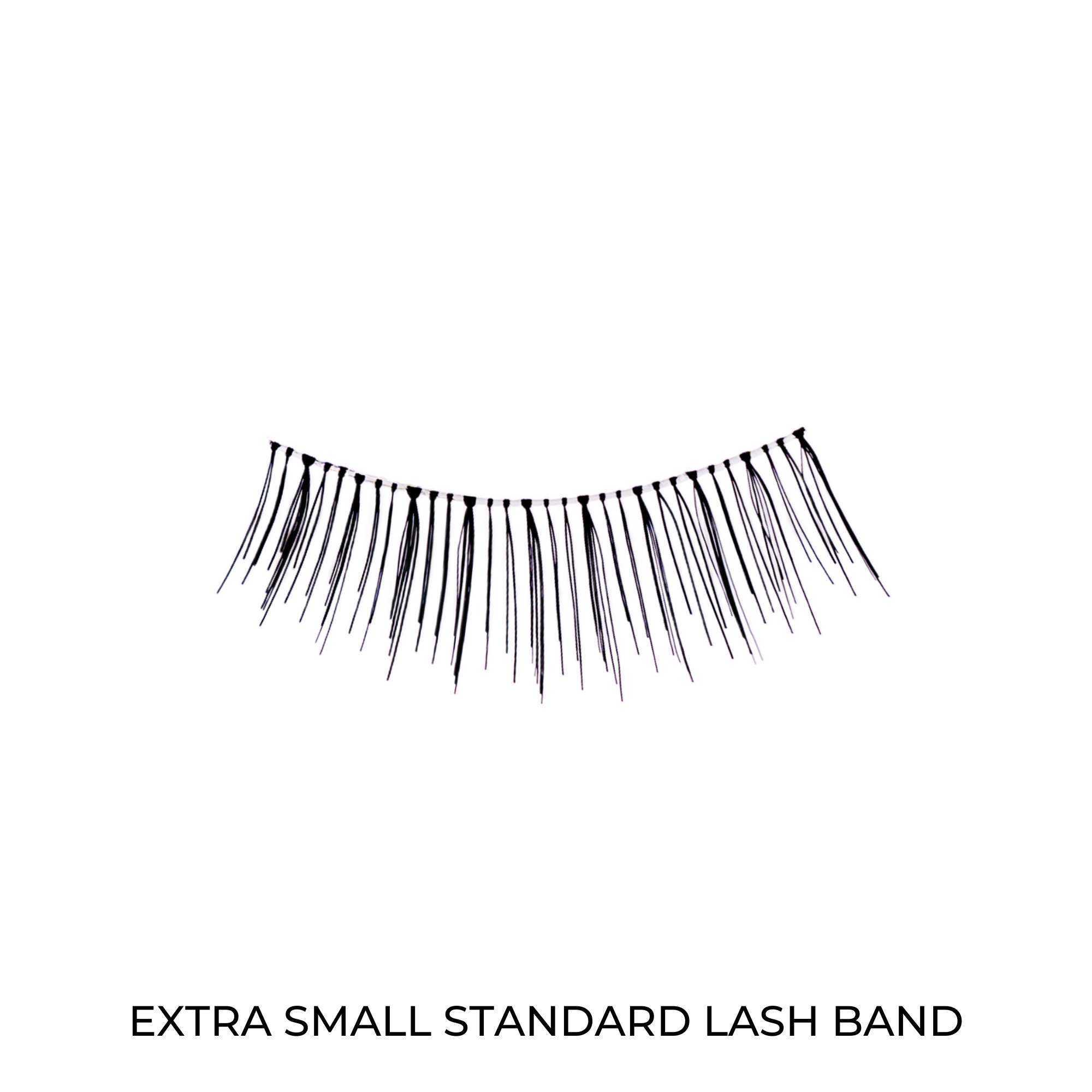 STARTER LASH KIT