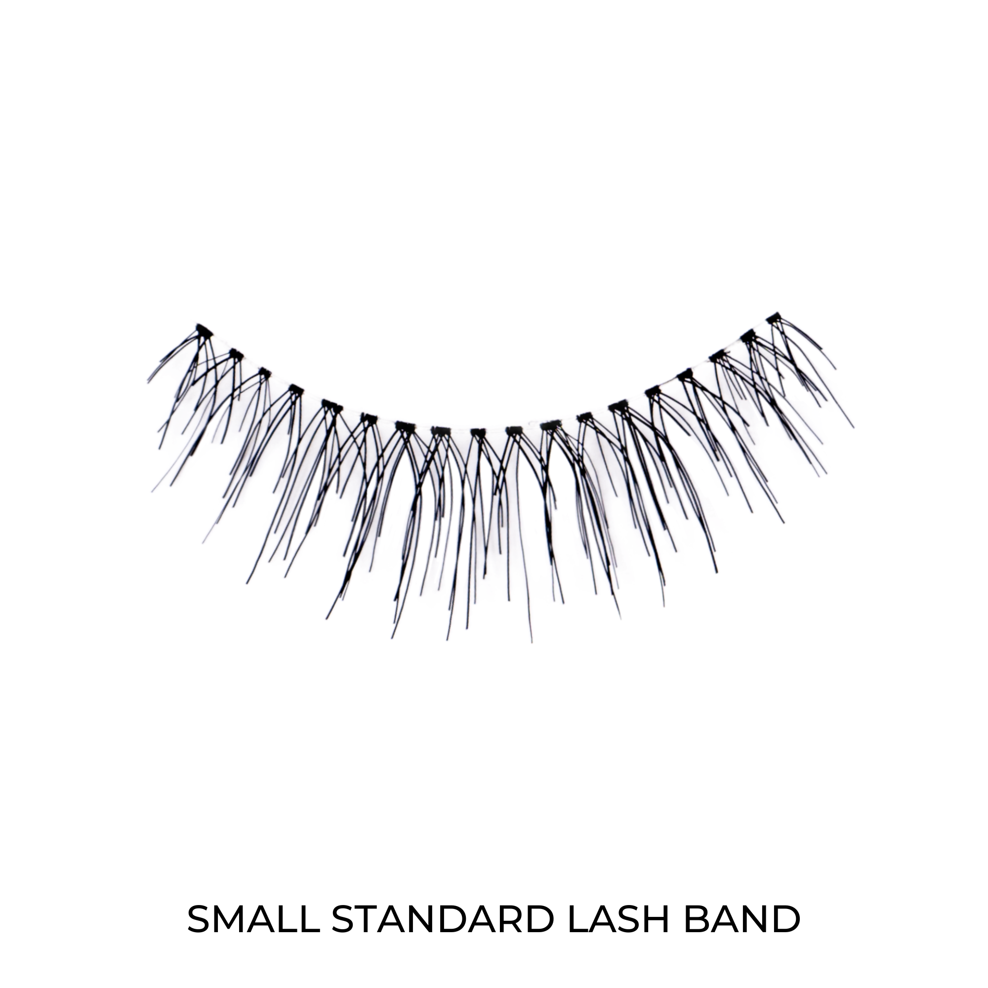 STARTER LASH KIT