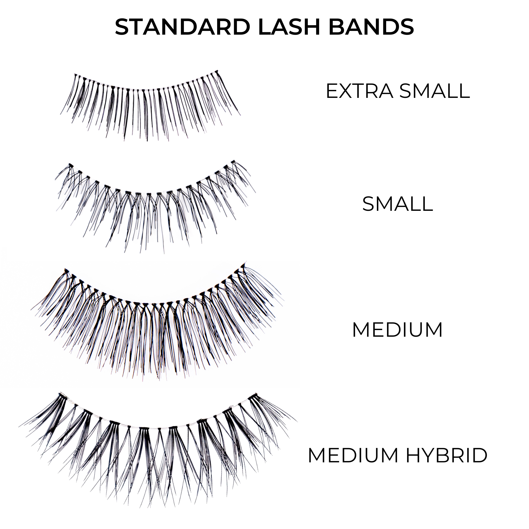 PREMIUM LASH KIT