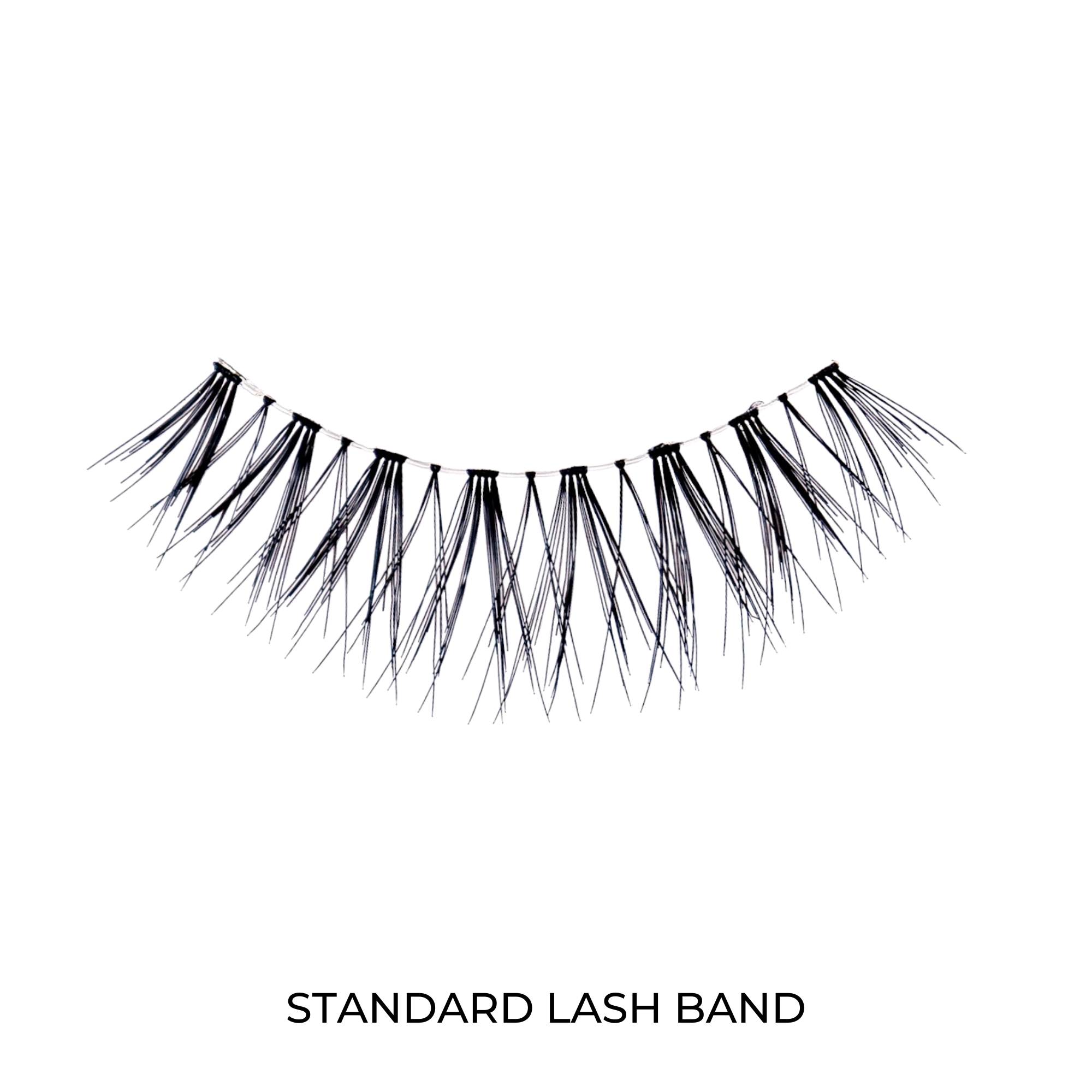 LIMITED EDITION MEDIUM HYBRID LASH BUNDLE